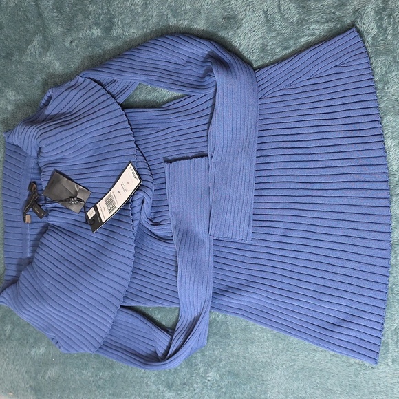 BCBGMaxAzria Blue Ribbed Sweater - Picture 1 of 3